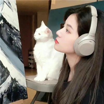 加拿大人